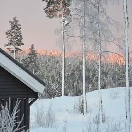 Moderne Hytte Ved Sjoen Med Badstue Romskog Exterior photo