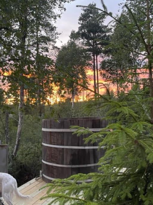 Moderne Ved Sjoen Med Badstue Holiday home Romskog