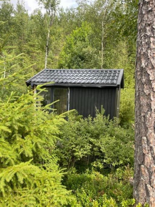 Moderne Ved Sjoen Med Badstue Holiday home *