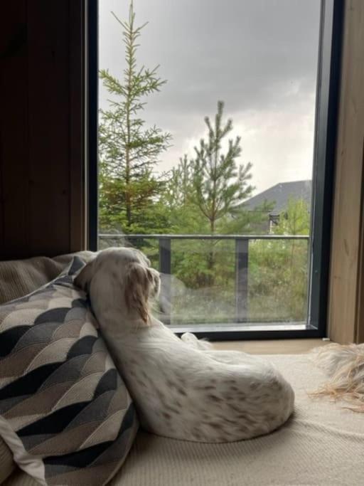 Moderne Ved Sjoen Med Badstue Holiday home