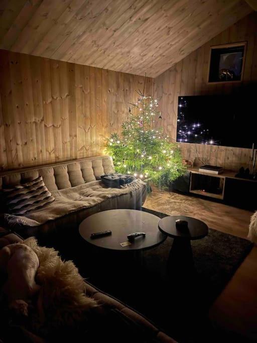 Moderne Ved Sjoen Med Badstue Holiday home *