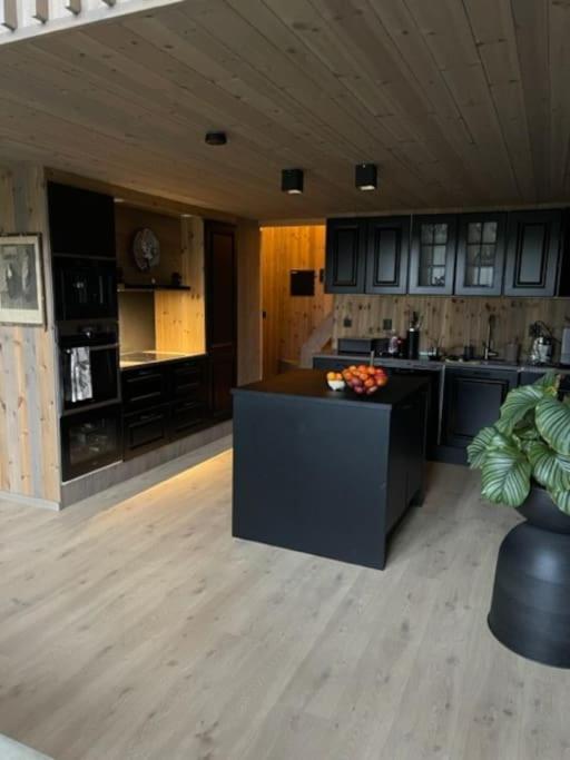 Moderne Ved Sjoen Med Badstue Holiday home