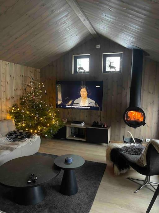 Moderne Ved Sjoen Med Badstue