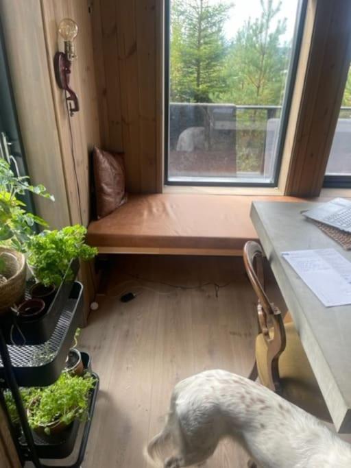 Moderne Ved Sjoen Med Badstue