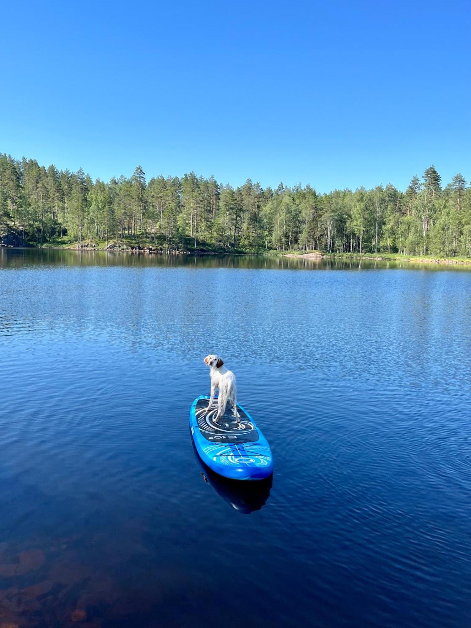 Semesterbostad Moderne Ved Sjoen Med Badstue